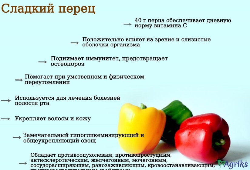 Свойства овощей. Полезные свойства сладкого перца. Полезные свойства сладкого. Антисклеротическим действием обладают овощи. Аюрведа перец сладкий свойства.