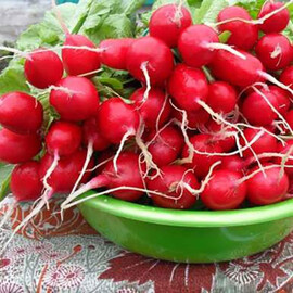 Семена редиса Марта Nasko от 50 г, Фасовка: Проф упаковка 250 г | Agriks