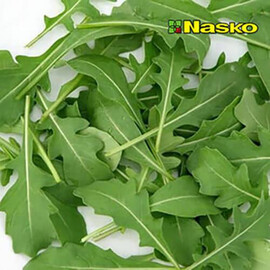 Насіння руколи Каміль Nasko від 10 г, Фасовка: Проф упаковка 10 г | Agriks