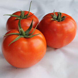 Насіння томату детермінантного Дуал Лардж F1 Ergon від 100 шт, Фасовка: Проф упаковка 500 шт | Agriks