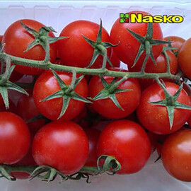 Насіння томату Коллет F1 Nasko від 100 шт, Фасовка: Проф упаковка 100 шт | Agriks