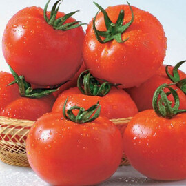 Семена томата индетерминантного Сентраль F1 Nasko от 100 шт, Фасовка: Проф упаковка 100 шт | Agriks