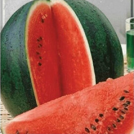 Шуга Бейбі United Genetics насіння кавуна, Фасовка: Проф упаковка 500 г | Agriks
