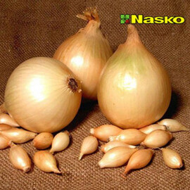 Семена лука Халиф Nasko от 1 000 шт, Фасовка: Проф упаковка 1 000 шт | Agriks