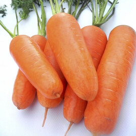 Семена моркови Чикаго F1 Wing Seed 25 000 (1,6-1,8) шт, Фасовка: Проф упаковка 25 000 шт (2,0 - 2,2) | Agriks