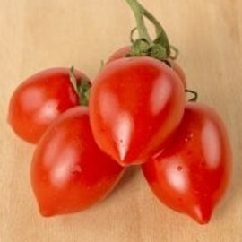 Насіння томату детермінантного Олівія F1 United Genetics 1 000 шт | Agriks