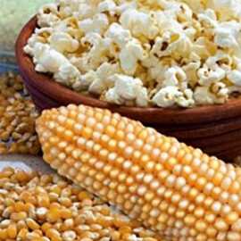 Семена кукурузы Поп Корн 50 г | Agriks