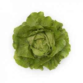 Насіння салату Томбело Rijk Zwaan від 1 000 шт драже, Фасовка: Проф упаковка 1 000 шт драже | Agriks