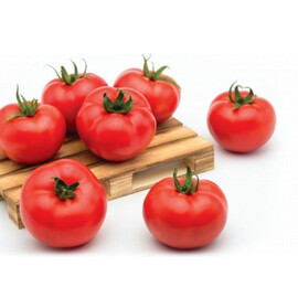 Насіння томату індетермінантного Хаєт F1 Sakata 250 шт, Фасовка: Проф упаковка 250 шт | Agriks