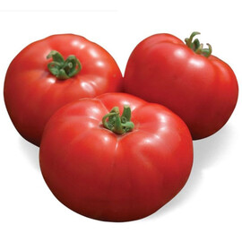 Насіння томату детермінантного Йолнар F1 Clause 1 000 шт | Agriks