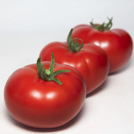 Насіння томату індетермінантного КС 202 F1 Kitano Seeds від 100 шт, Фасовка: Проф упаковка 100 шт | Agriks