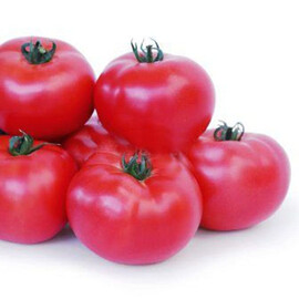 Насіння томату індетермінантного KS 307 F1 Kitano Seeds від 100 шт, Фасовка: Проф упаковка 100 шт | Agriks