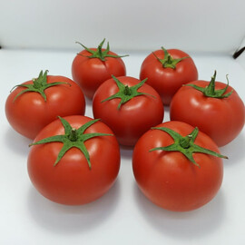 Насіння томату індетермінантного Бандерас F1 (PL 6212 F1) Asia Seed 100 шт | Agriks
