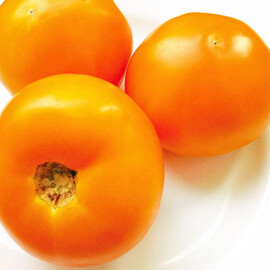 Насіння томату детермінантного Голден Стар F1 Libra Seeds (Erste Zaden) 250 шт | Agriks