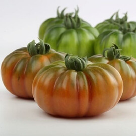Насіння томату індетермінантного Марсалато F1 Vitalis 250 шт | Agriks