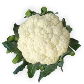 Ванза F1 Kitano Seeds семена капусты цветной, Фасовка: Проф упаковка 2 500 шт | Agriks