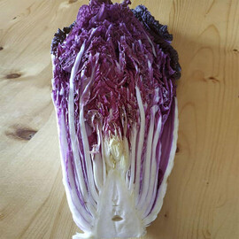 Ямада F1 (КС 888) Kitano Seeds насіння капусти пекінської, Фасовка: Проф упаковка 1 000 шт | Agriks