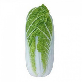 Тенсай (КС 374) F1 Kitano Seeds насіння капусти пекінської, Фасовка: Проф упаковка 1 000 шт | Agriks