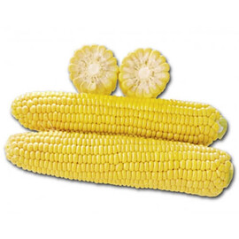 Насіння кукурудзи цукрової 1010 F1 Lark Seeds від 2 500 шт, Фасовка: Проф упаковка 2 500 шт | Agriks