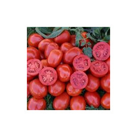 Насіння томату детермінантного 1311 F1 Lark Seeds 5 000 шт, Фасовка: Проф упаковка 5 000 шт | Agriks