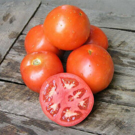 Насіння томату детермінантного Ламантін F1 Nunhems від 10 шт, Фасовка: Середня упаковка 100 шт | Agriks