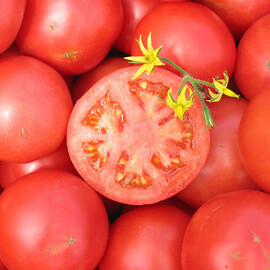 Насіння томату детермінантного Тарпан F1 Nunhems від 10 шт, Фасовка: Міні упаковка 10 шт | Agriks