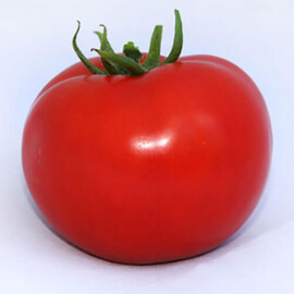Насіння томату індетермінантного Хітомакс F1 Kitano Seeds від 10 шт, Фасовка: Проф упаковка 100 шт | Agriks