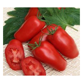Семена томата индетерминантного Рева F1 Hazera 250 шт, Фасовка: Проф упаковка 250 шт | Agriks