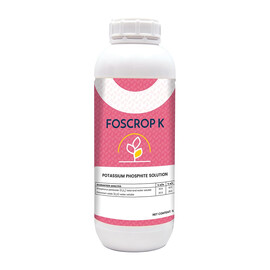Минеральное удобрение Foscrop K (Фоскроп К) Solare Sementi 1 л | Agriks