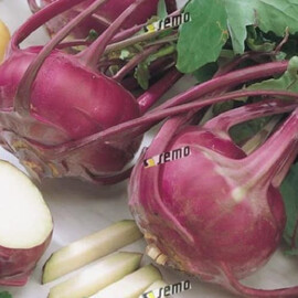 Бланкит Semo cемена капусты кольраби, Фасовка: Проф упаковка 2 500 шт | Agriks