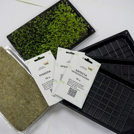 Набір для вирощування мікрозелені "Салатний мікс" без обприскувача | Agriks