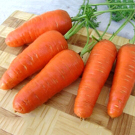 Семена моркови Акат F1 Moravoseed 25 000 шт, Фасовка: Проф упаковка 25 000 шт | Agriks