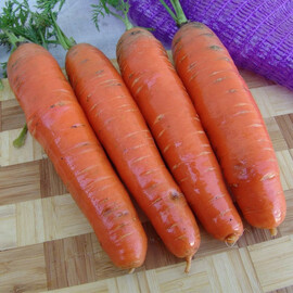 Семена моркови Фаворит Moravoseed 100 гр, Фасовка: Проф упаковка 1 кг | Agriks