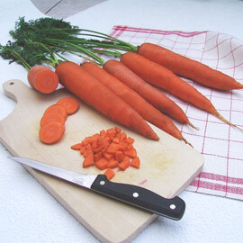 Семена моркови Тинга Moravoseed 100 гр, Фасовка: Проф упаковка 100 г | Agriks
