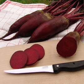 Семена свеклы Монорубра Moravoseed 1 кг, Фасовка: Проф упаковка 100 г, Цвет: Красный | Agriks