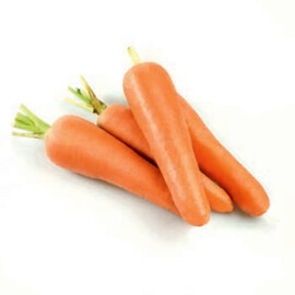 Насіння моркви Лес Саінтес F1 Seminis від 200 000 шт (1,6-1,8), Фасовка: Проф упаковка 200 000 шт (1,6 - 1,8) | Agriks
