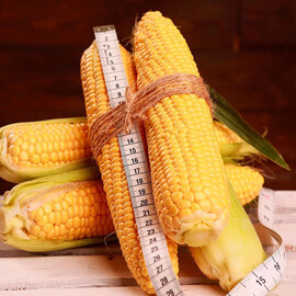 Насіння кукурудзи цукрової Роттердам F1 МНАГОР від 1 000 шт, Фасовка: Проф упаковка 200 шт | Agriks