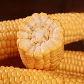 Семена кукурузы сахарной Сентис F1 МНАГОР от 200 шт, Фасовка: Проф упаковка 200 шт | Agriks