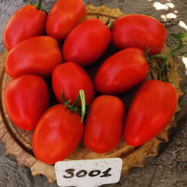 Насіння томату детермінантного Сімон F1 (INX 3001) Innova Seeds від 100 шт, Фасовка: Проф упаковка 100 шт | Agriks