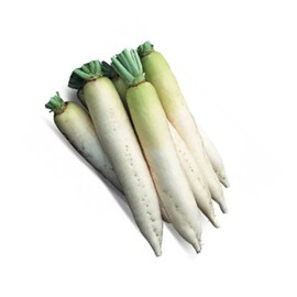 Насіння редьки дайкон КС 50 F1 Kitano Seeds від 10 г, Фасовка: Проф упаковка 50 г | Agriks