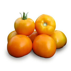 Насіння томату детермінантного Нуксі F1 (КС 17 F1) Kitano Seeds від 10 шт, Фасовка: Міні упаковка 25 шт | Agriks
