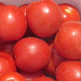 Насіння томату детермінантного Солероссо F1 Nunhems від 20 шт (Agriks), Фасовка: Середня упаковка 100 шт | Agriks