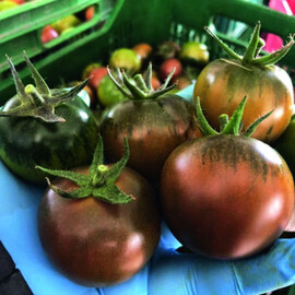 Насіння індетермінантного томату Кам F1 Esasem 1 000 шт | Agriks