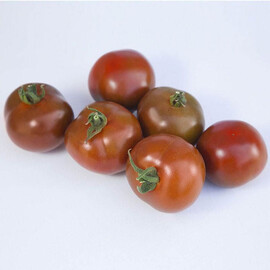 Семена томата индетерминантного КС 125 F1 Kitano Seeds от 100 шт, Фасовка: Проф упаковка 100 шт | Agriks