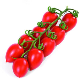 Насіння томату індетермінантного Саморі F1 Esasem від 250 шт, Фасовка: Проф упаковка 250 шт | Agriks
