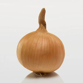 Лук севок (озимый) Радар 10 кг (8-21мм) Triumfus Onion Products, Фасовка: 1 кг | Agriks