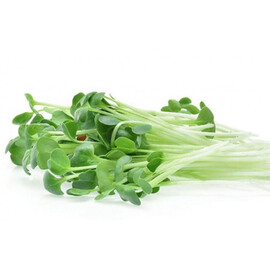 Насіння мікрозелені Люцерна 5 г (М/З) | Agriks