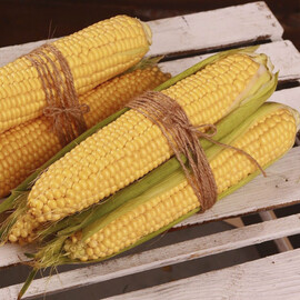 Семена кукурузы сахарной Фиона F1 (Сладкая Мечта) МНАГОР 200 шт, Фасовка: Проф упаковка 200 шт | Agriks