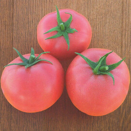 Насіння томату детермінантного Хапінет F1 Syngenta від 10 шт (Agriks), Фасовка: Міні упаковка 10 шт | Agriks