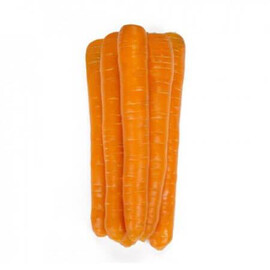 Насіння моркви Морелія F1 Rijk Zwaan від 25 000 шт (1,6-1,8), Фасовка: Проф упаковка 100 000 шт (1,6 - 1,8) | Agriks